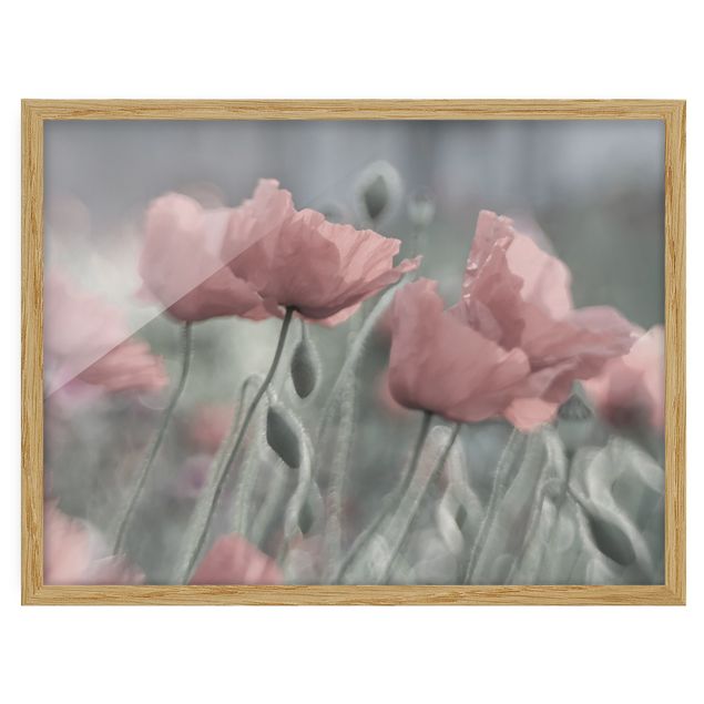Poster con cornice - Picturesque Poppies - Orizzontale 3:4