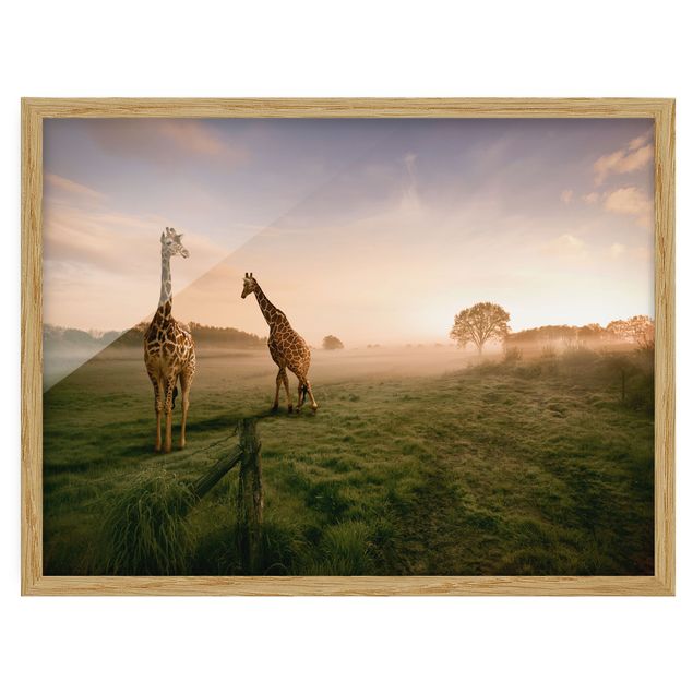 Poster con cornice - Surreal Giraffes - Orizzontale 3:4