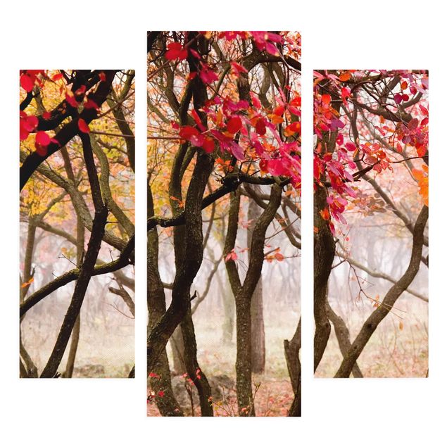 Stampa su tela 3 parti - Japan In Autumn - Trittico da galleria