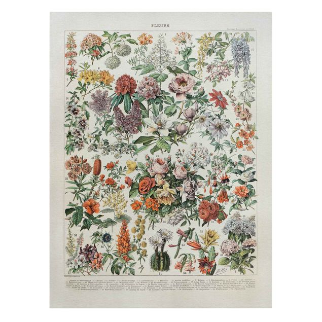 Stampa su tela - Vintage Consiglio Flowers II - Verticale 4:3