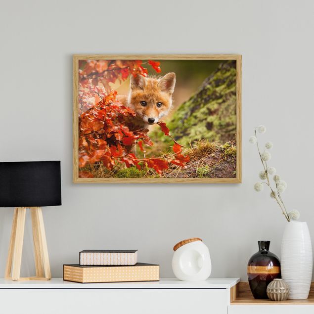 quadri con animali Volpe in autunno
