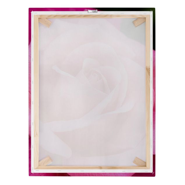 Stampa su tela - Pink Rose Bloom di fronte al verde - Verticale 4:3