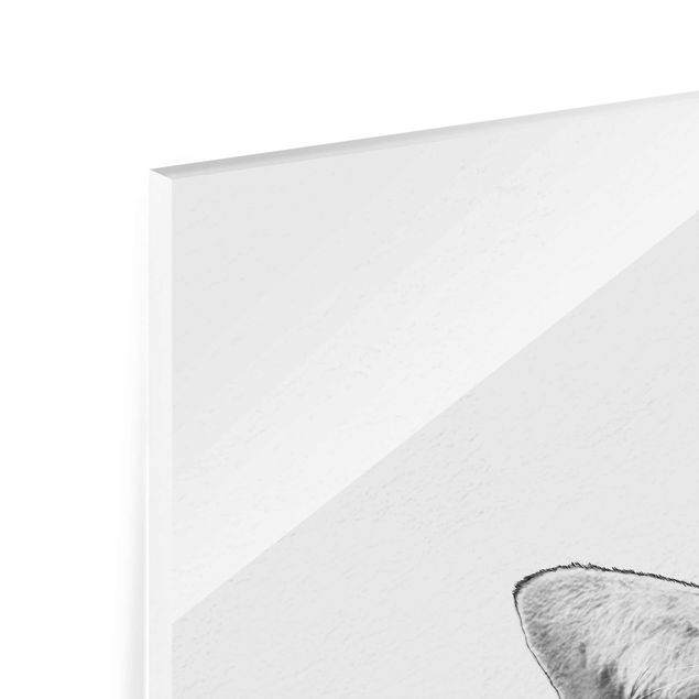 Quadro in vetro - Illustrazione Cat Disegno Nero Bianco - Quadrato 1:1