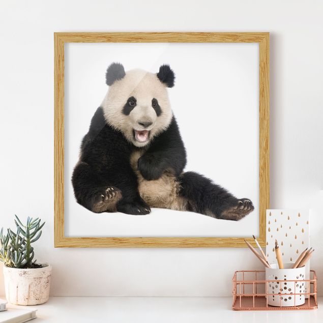 Poster con cornice - ridere Panda