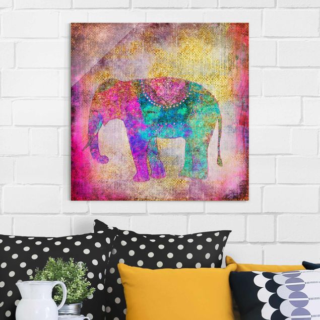 stampe animali Collage colorato - Elefante indiano