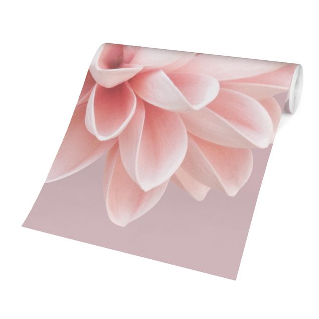 Carta da parati - Dalia in lavanda rosa e bianca