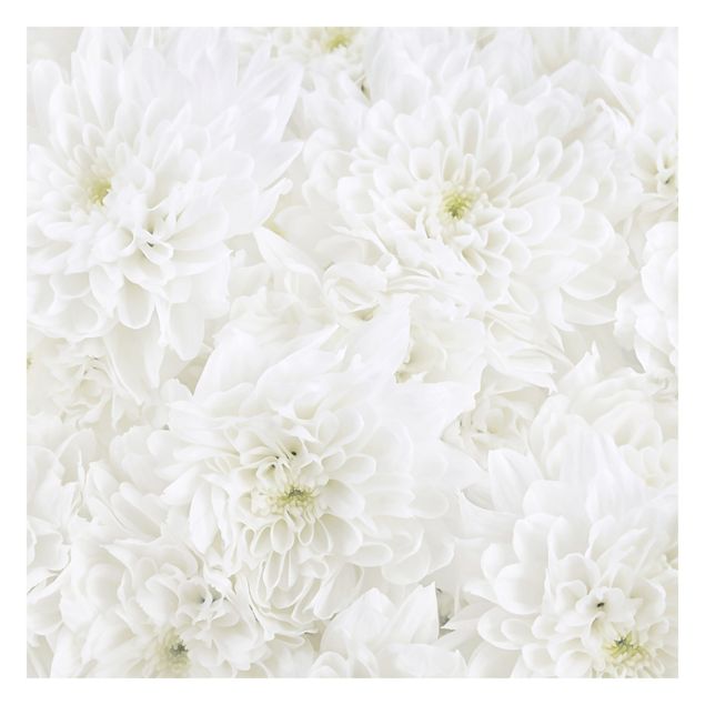 Carta da parati - Dahlias sea of flowers white