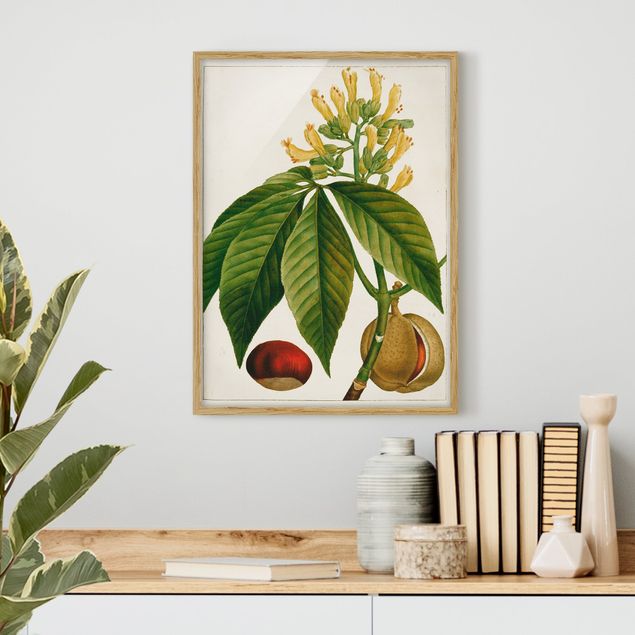 Poster con cornice - Foglia Tableau Fiore Frutta VI - Verticale 4:3