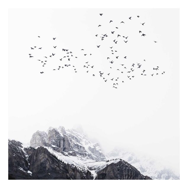 Quadro in vetro - Stormo di uccelli davanti a montagne bianco e nero - Quadrato 1:1