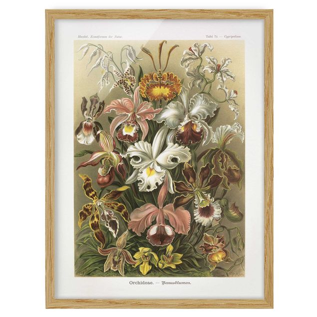 Poster con cornice - Consiglio Orchid Vintage - Verticale 4:3