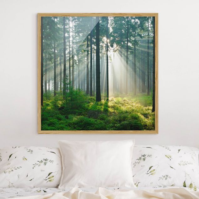 Poster con cornice - Enlightened Forest - Quadrato 1:1