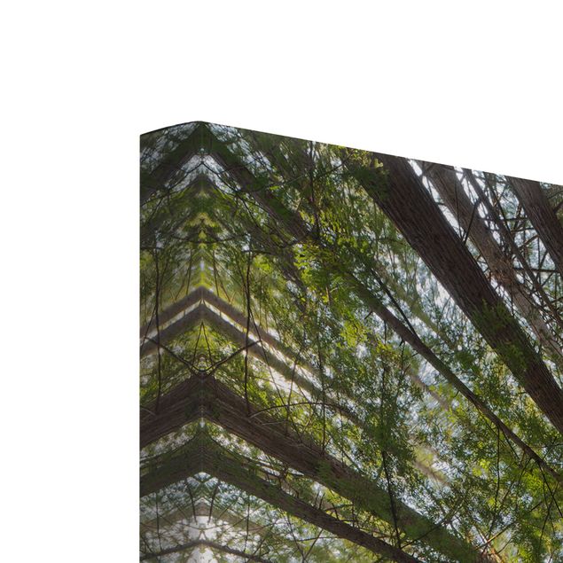 Stampa su tela 3 parti - Sequoia tree tops - Pannello