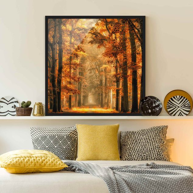 Poster con cornice - Enchanted Forest In Autumn - Quadrato 1:1