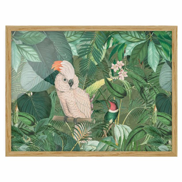 Poster con cornice - Vintage Collage - Cockatoo E Hummingbird - Orizzontale 3:4