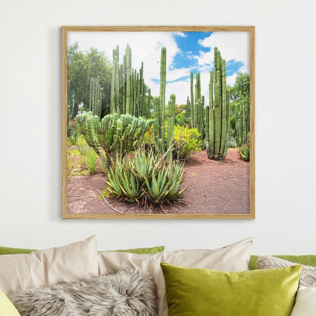 Poster con cornice - Cactus Landscape - Quadrato 1:1