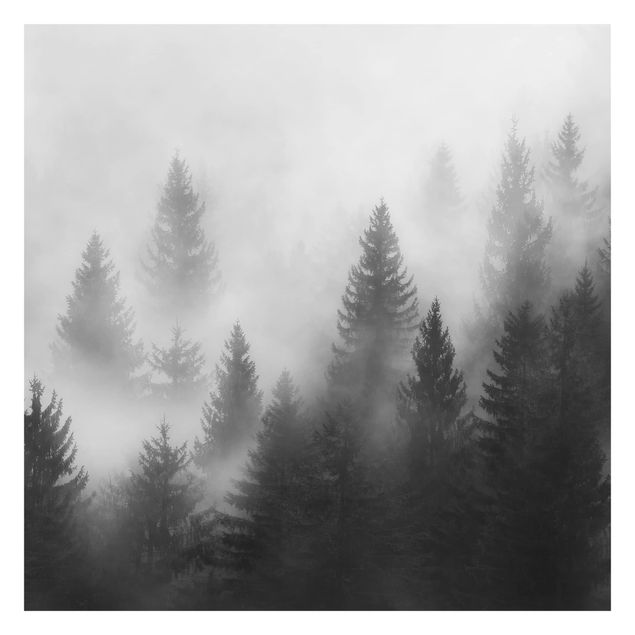 Carta da parati adesiva bosco - Foresta di conifere nella nebbia - Formato quadrato
