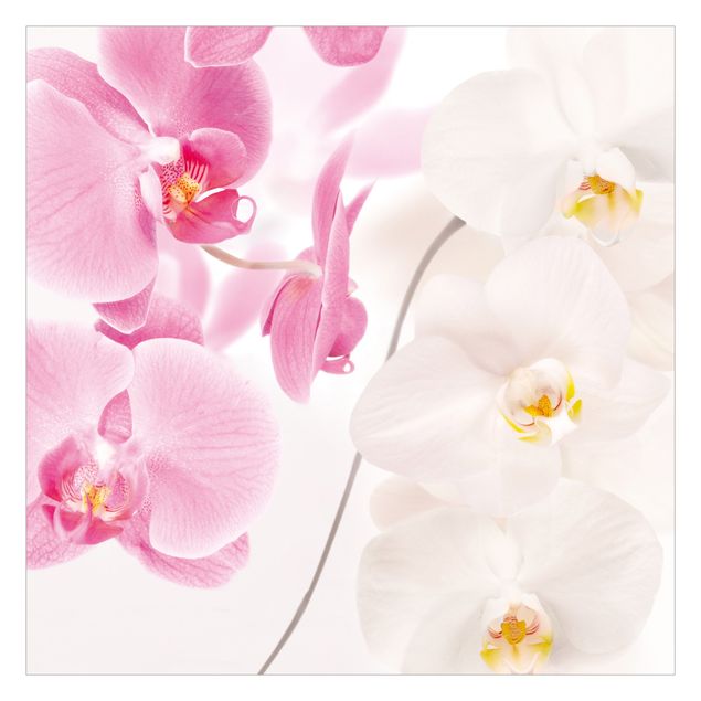 Carta da parati - Delicate Orchids
