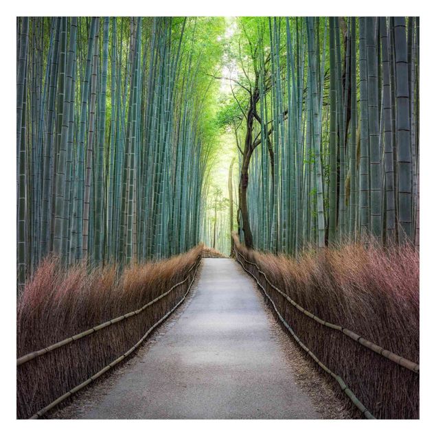 Carta da parati - Sentiero tra i bambù