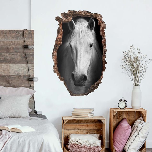 Adesivo murale - Sogno di un cavallo