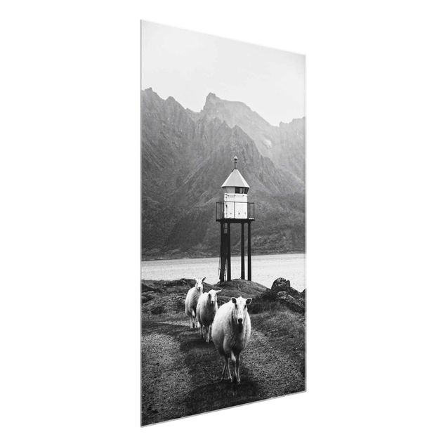 Quadro in vetro - Tre pecore sulle Isole Lofoten