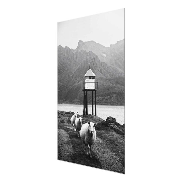 Quadro in vetro - Tre pecore sulle Isole Lofoten