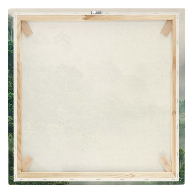 Quadro su tela naturale - Giungla nella nebbia - Quadrato 1:1
