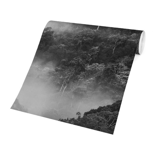 Carta da parati - Giungla nella nebbia in bianco e nero