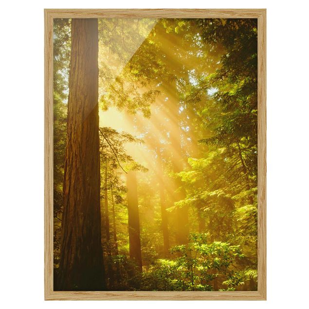Poster con cornice - Morning Gold - Verticale 4:3