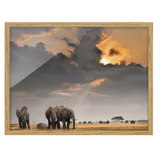 Poster con cornice - Elephant Savanna - Orizzontale 3:4