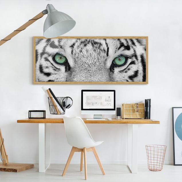 Poster con cornice - Bianco Tiger - Panorama formato orizzontale