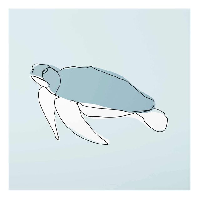 Quadro in vetro - Turtle Line Art - Quadrato 1:1