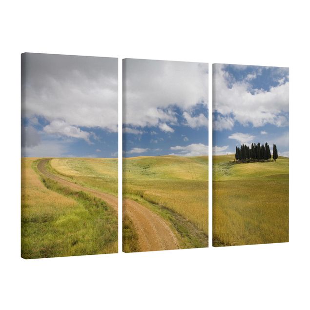 Stampa su tela 3 parti - Cypress Trees In Tuscany - Verticale 2:1