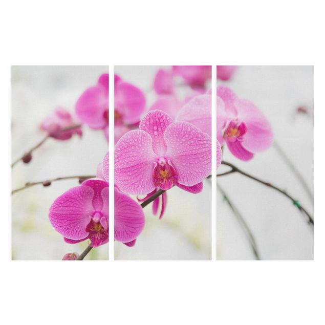 Stampa su tela 3 parti - Close Orchid - Verticale 2:1