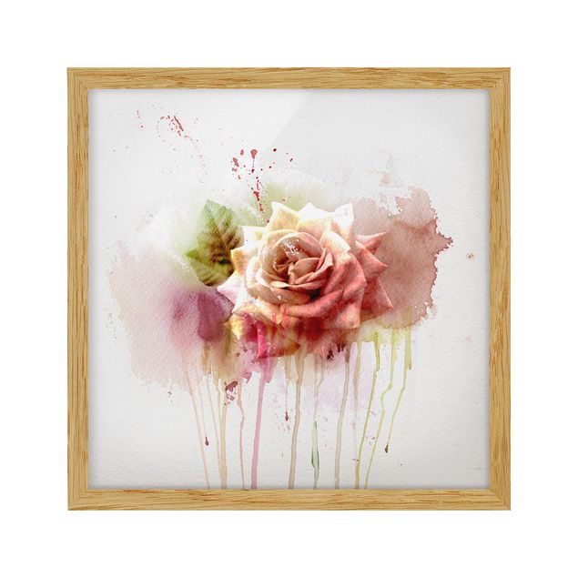 Poster con cornice - Watercolor Rose - Quadrato 1:1