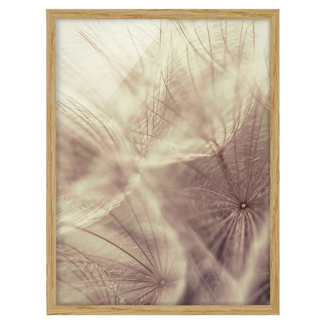 Poster con cornice - Detailed And Dandelion Macro Shot With Vintage Blur Effect - Verticale 4:3