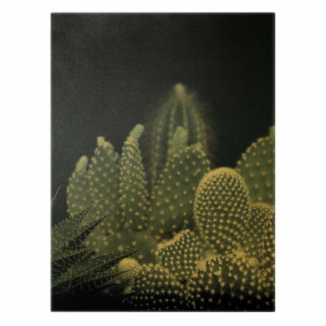 Quadro su tela oro - Famiglia di cactus nella notte