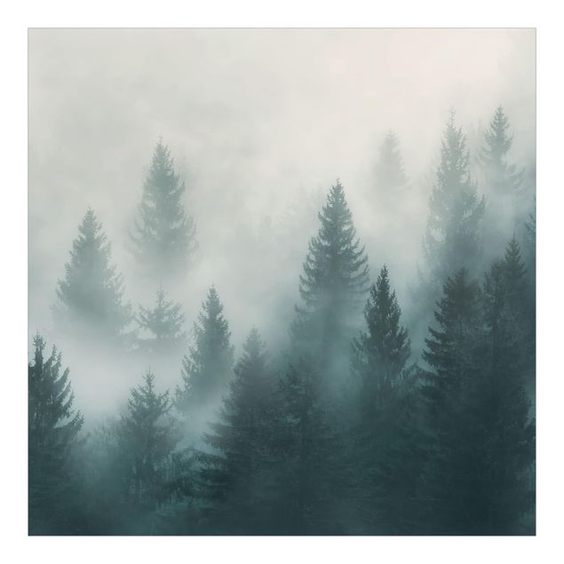 Carta da parati paesaggio - Foresta di conifere nella nebbia