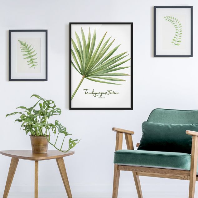 Poster con cornice - Watercolor Botany Trachycarpus Fortunei - Verticale 4:3