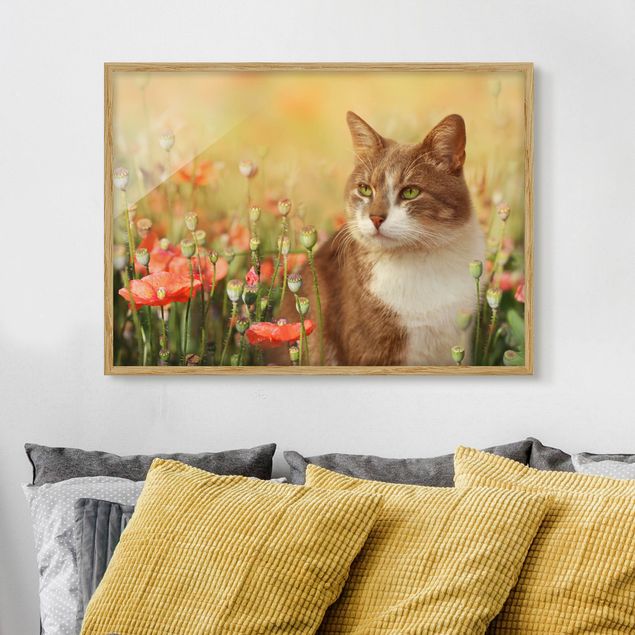 quadro astratto moderno Gatto in un campo di papaveri