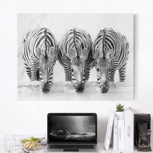 quadri con animali Trio di zebre in bianco e nero