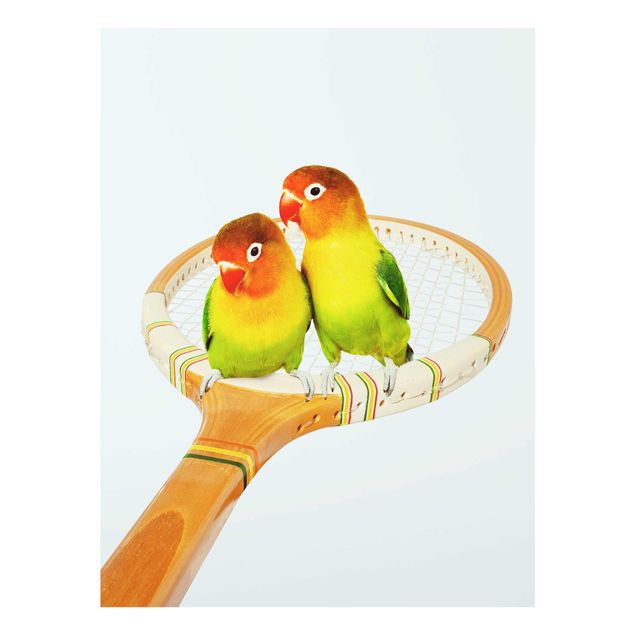 Quadro in vetro - Tennis Con Uccelli - Verticale 4:3