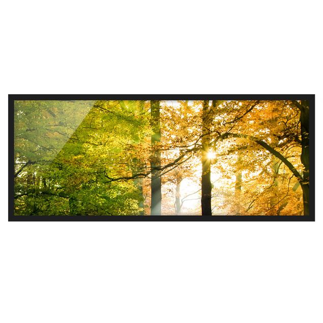 Poster con cornice - Morning Light - Panorama formato orizzontale