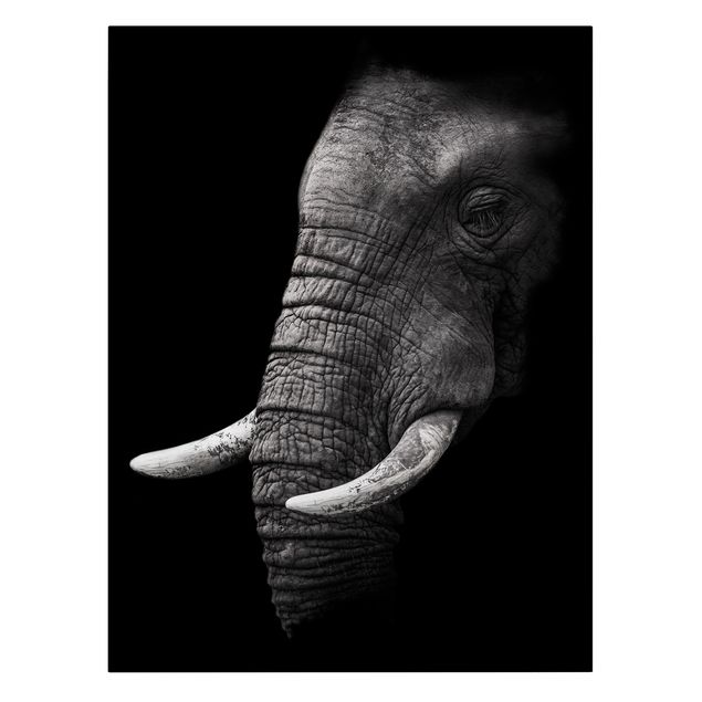Stampe su tela bianco e nero Ritratto di elefante scuro