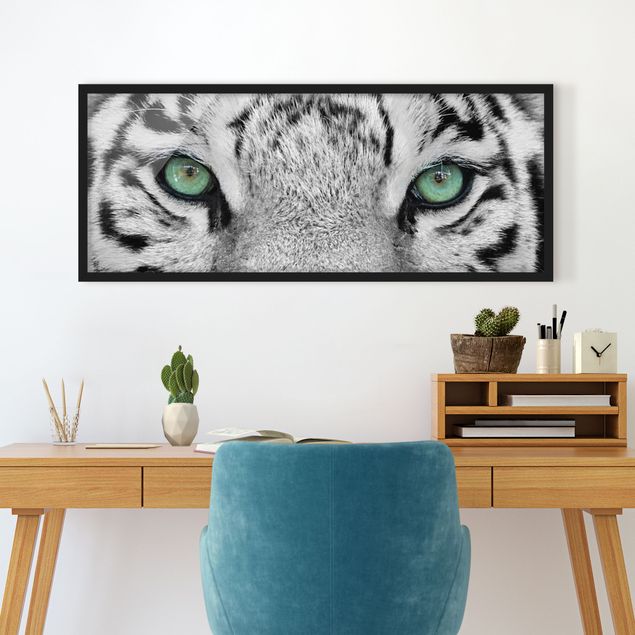 Poster con cornice - Bianco Tiger - Panorama formato orizzontale