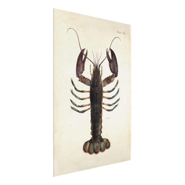 Quadro in vetro - Vintage Illustrazione Lobster - Verticale 4:3