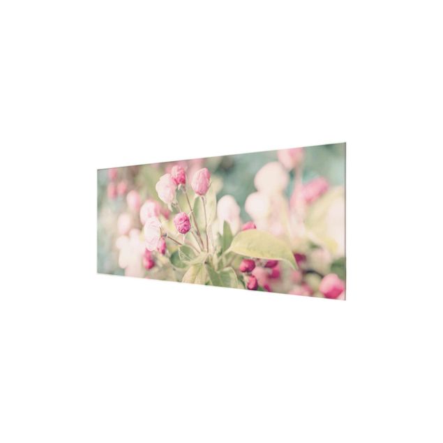 Quadro in vetro - Apple Blossom rosa bokeh - Panoramico