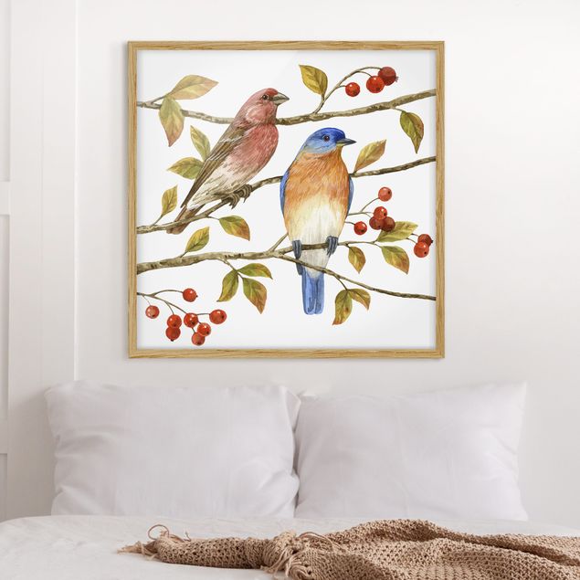 Poster con cornice - Birds And Berries - Bluebird - Quadrato 1:1