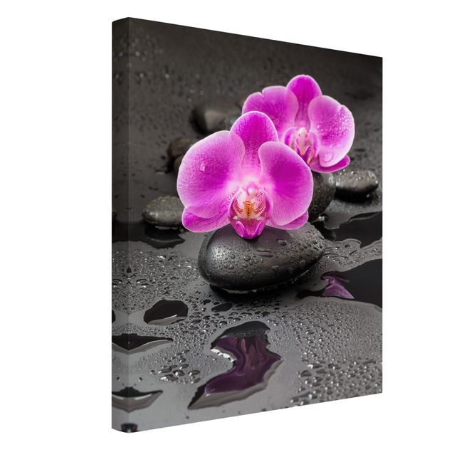 Quadri moderni per soggiorno Fiore di orchidea rosa su pietra con gocce