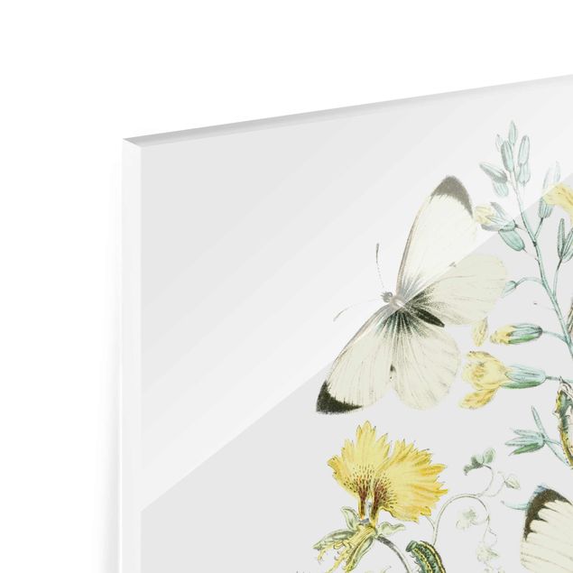 Quadro in vetro - British Butterflies II - Quadrato 1:1