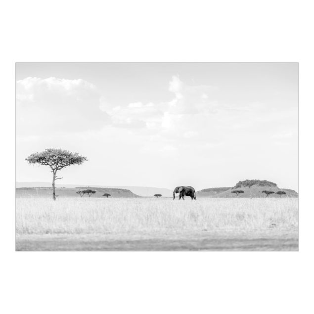 Carta da parati - Elefante nella vasta savana in bianco e nero